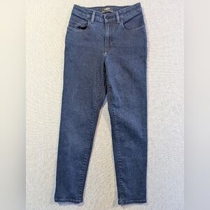 Ten Aritzia Skinny Jeans Women's 26 Dark Wash Blue